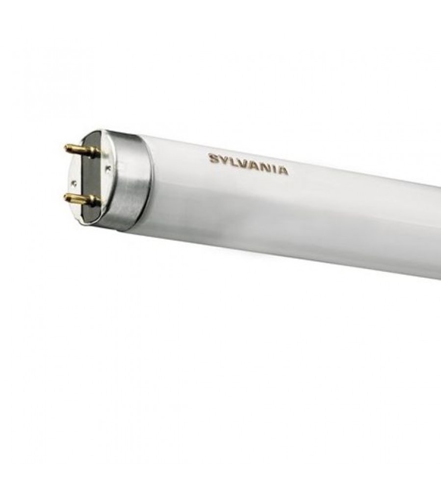 32 W/830 120 cm T8 ECO 0001605