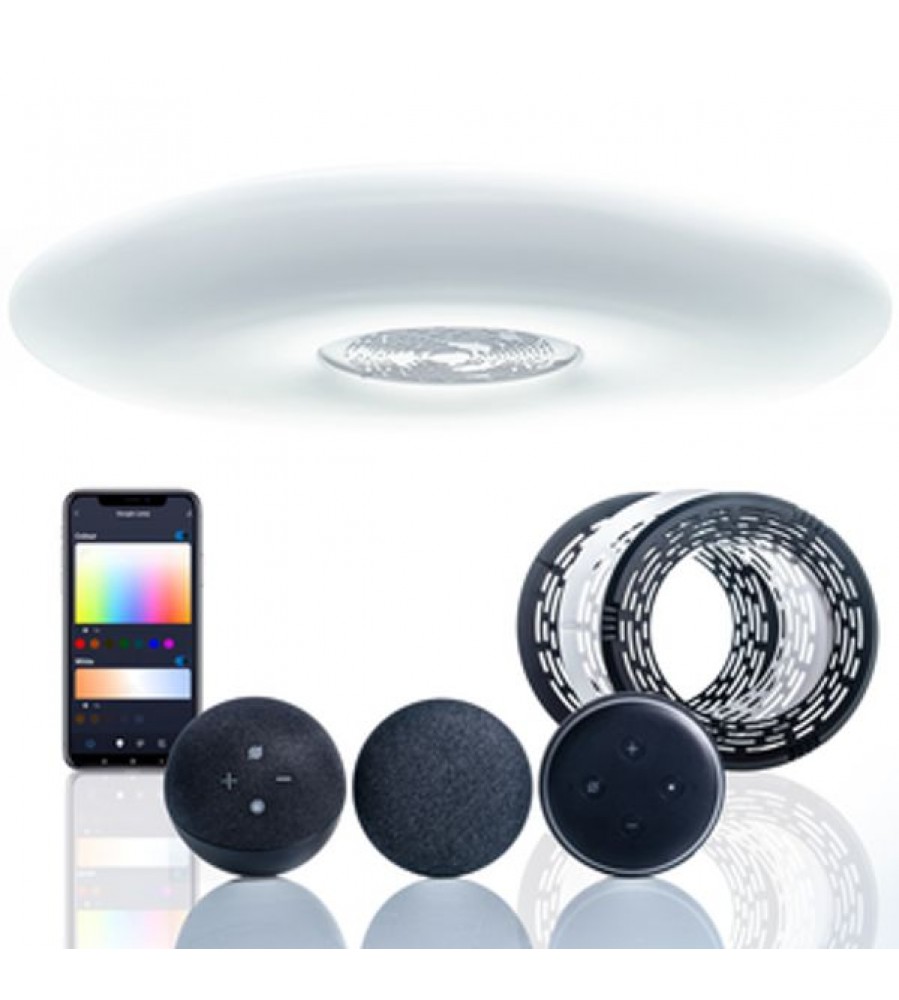 „WiFi“ lubų šviestuvas su „Google Nest Mini“ ir „Amazon Echo Dot Bracket“.