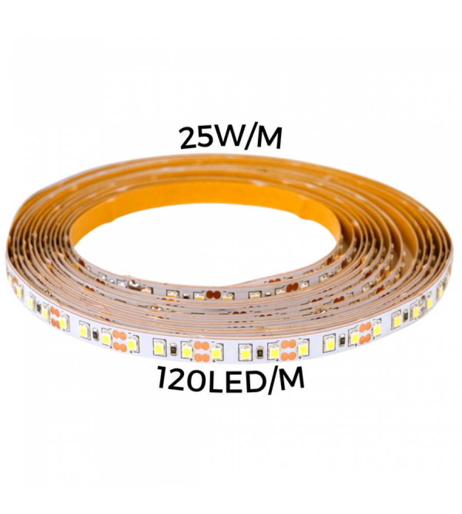 THORGEON 16032 LED juosta, 24 V, 4000 K, 5 m