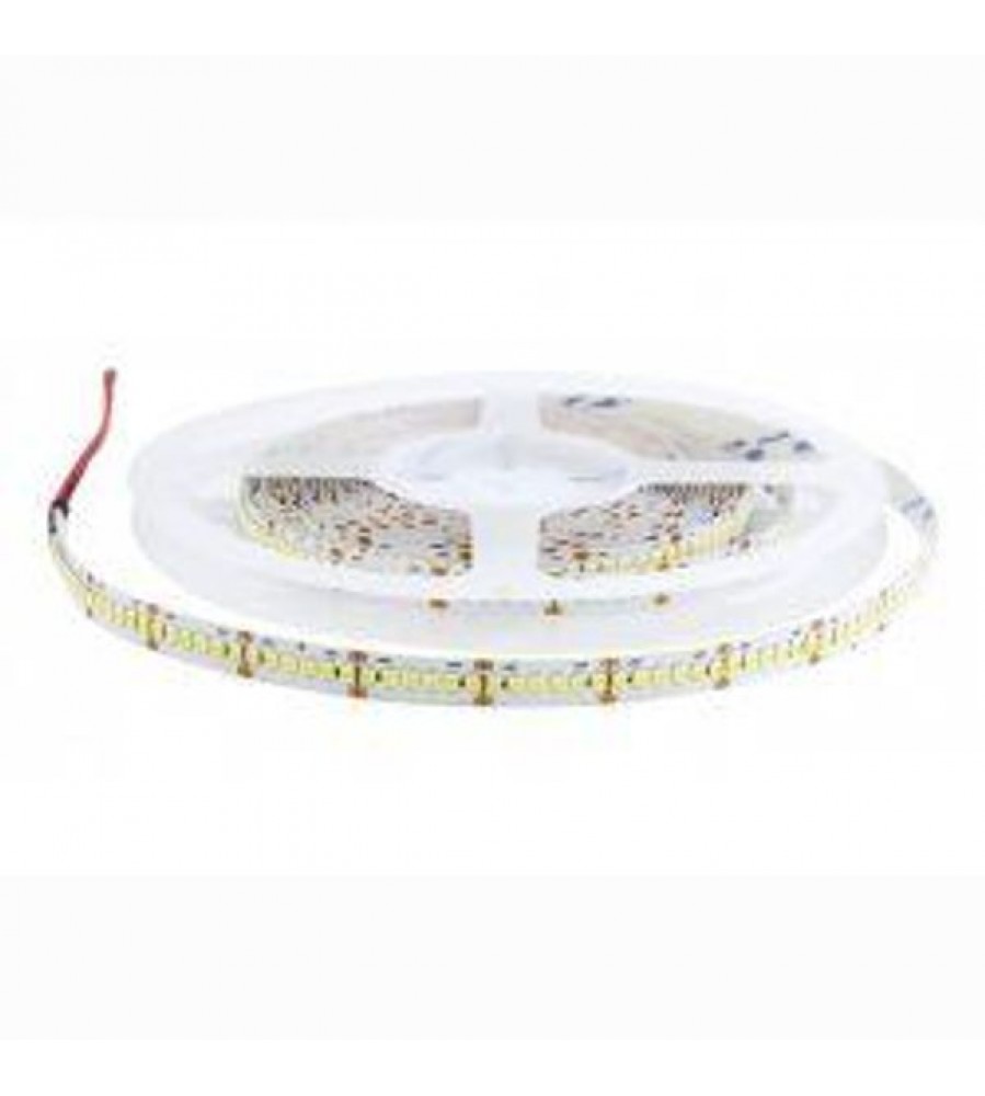 LED juostelė 4,8W/m 600SMD balta BZ IP64 Spect