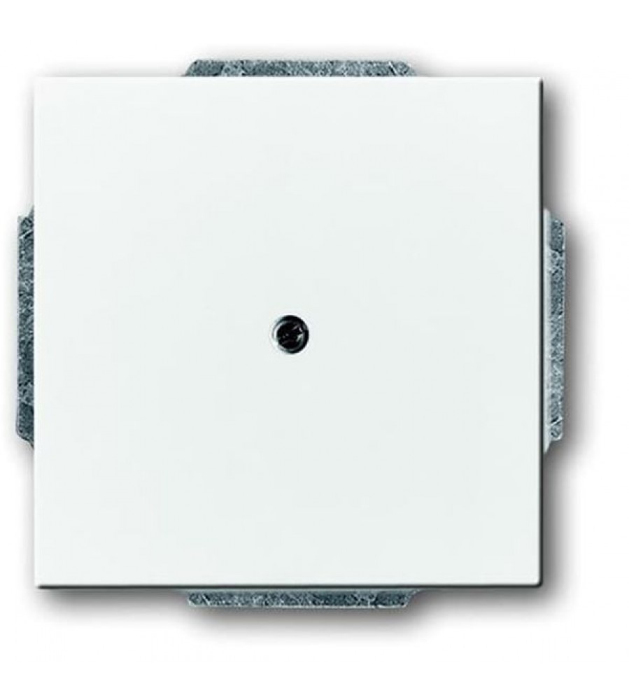 1742-84 CoverPlates (iš dalies su įdėklu) future®, Busch-axcent®, solo®; carat® Studio balta 1742-84 CoverPlates (iš dalies su įdėklu) future®, Busch-axcent®, solo®; carat® Studio balta