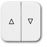 2504-214 CoverPlates (iš dalies su įdėklu) carat® Alpine white