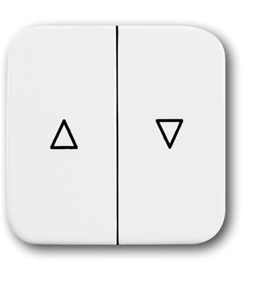 2504-214 CoverPlates (iš dalies su įdėklu) carat® Alpine white