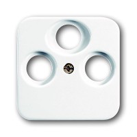 1743-03-214 CoverPlates (iš dalies su įdėklu) carat® Alpine white