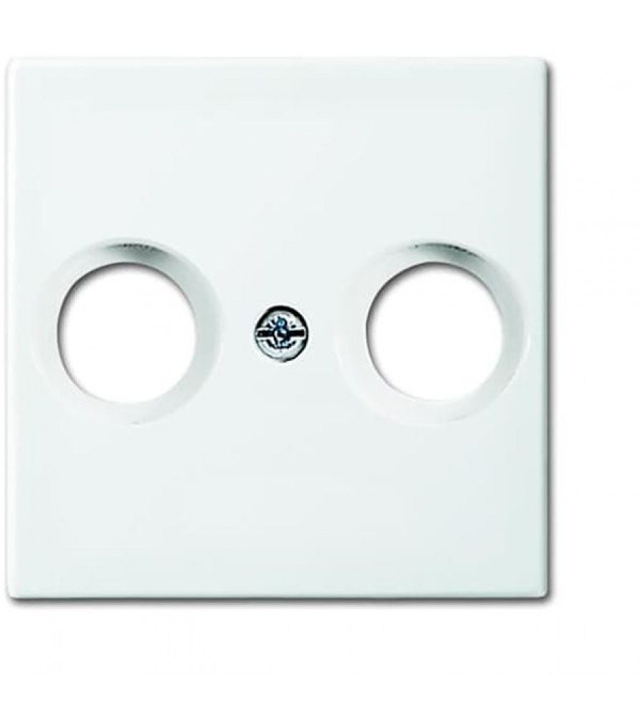 2531-914 Dengiamosios plokštės (iš dalies su įdėklu) Busch-balance® SI Alpine balta