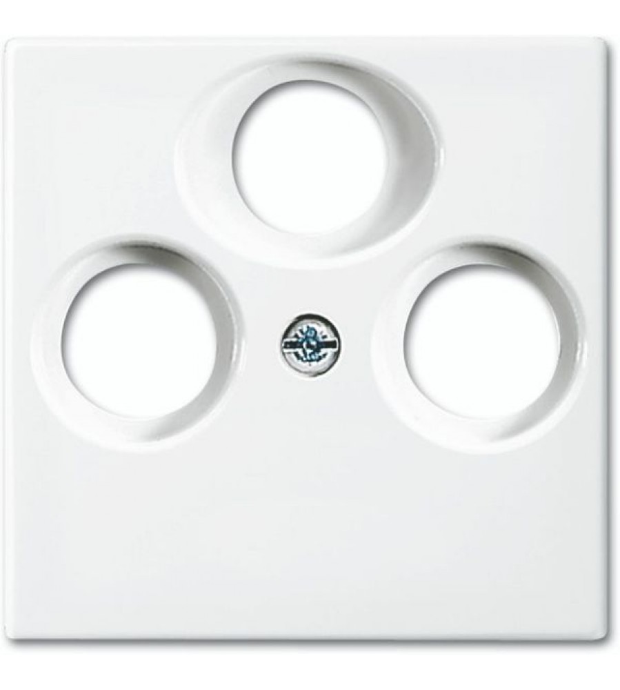 1743-03-914 Dengiamosios plokštės (iš dalies su įdėklu) Busch-balance® SI Alpine balta