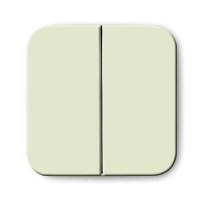2505-212 CoverPlates (iš dalies su įdėklu) carat® White