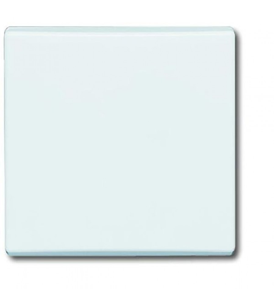 2106-34 CoverPlates (iš dalies su įdėklu) carat® Alpine white