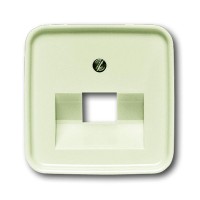 1803-212 CoverPlates (iš dalies su įdėklu) carat® White