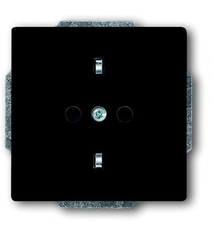 20 EUC-81 CoverPlates (iš dalies su įdėklu) future®, Busch-axcent®, carat®; Busch-dynasty® antracitas