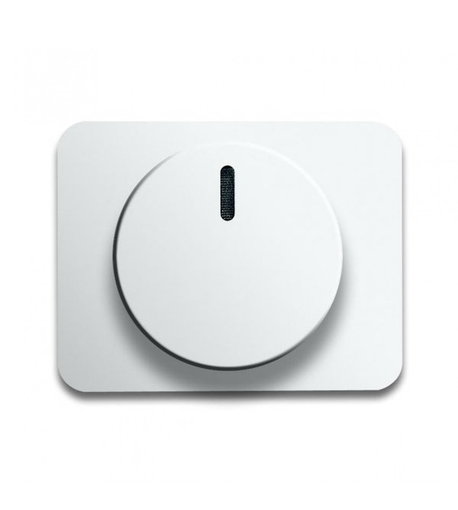 6540-24G CoverPlates (iš dalies su įdėklu) carat® Studio balta