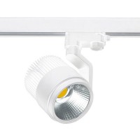 PROŽEKTORIUS VEIKSMINGAS 1XLED 25,7W WH