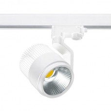 PROŽEKTORIUS VEIKSMINGAS 1XLED 25,7W WH