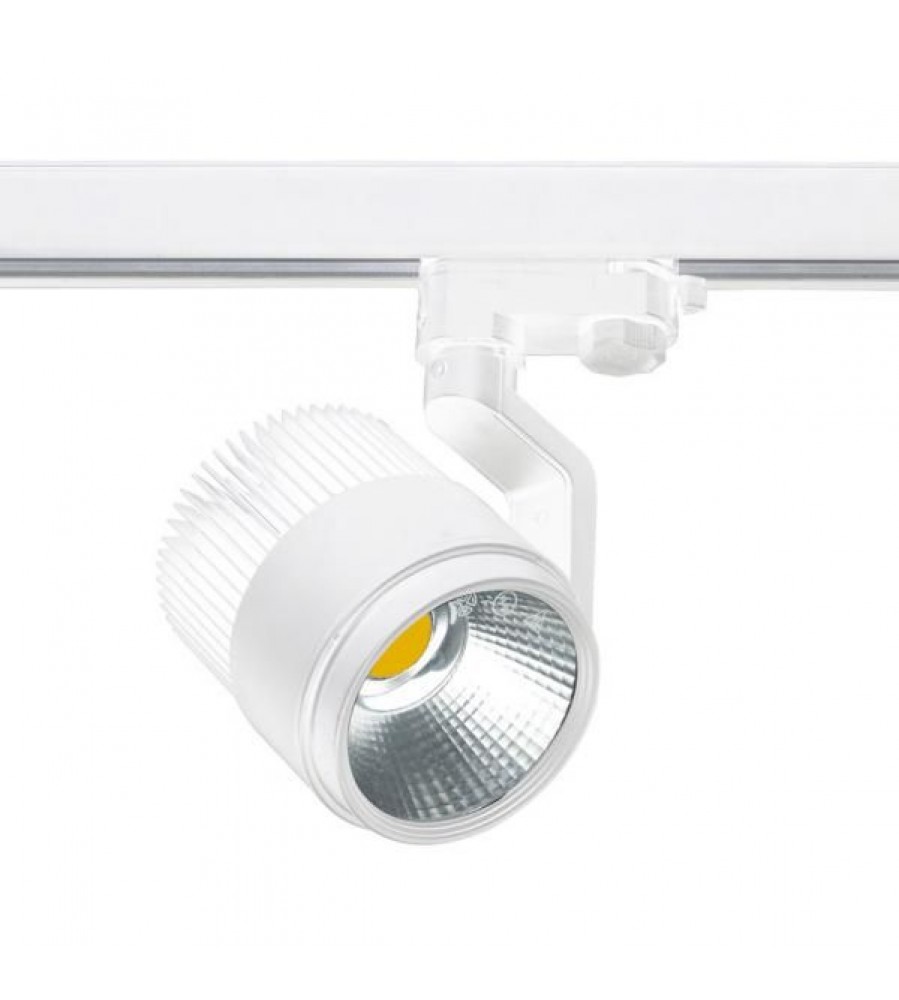 PROŽEKTORIUS VEIKSMINGAS 1XLED 25,7W WH