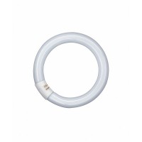 LUMILUX® T9 C 32 W/840 G10Q