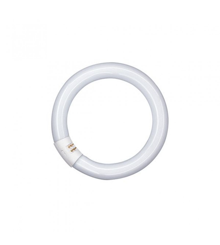 LUMILUX® T9 C 32 W/865 G10Q