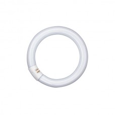 LUMILUX® T9 C 40 W/840 G10Q