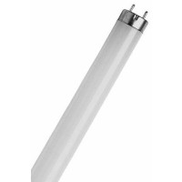 Bazinė T8 18 W/530