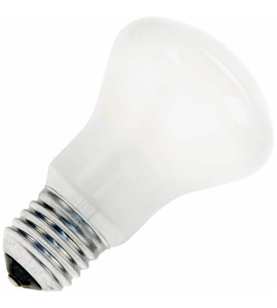 Kaitrinė lemputė E27 60W 220V FR grybas