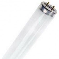 FL 18W T8 BL368 G13 26x590 10Khrs Blacklight Fly žudikas
