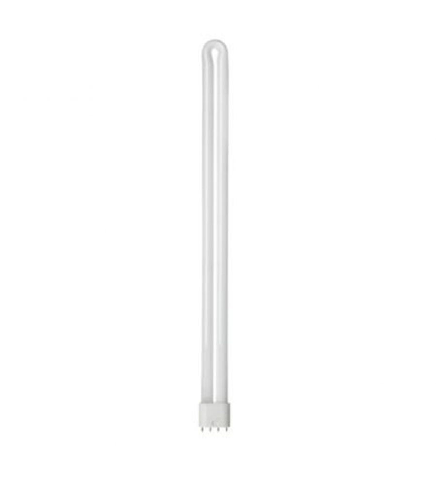 Biax™ L LongLast™ 4 kontaktų, Išorinis starteris Reikal. F40W BX/T5/835/4P