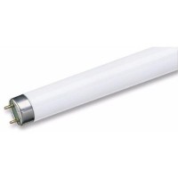 Liuminescencinis vamzdelis 36W/855 120cm T8