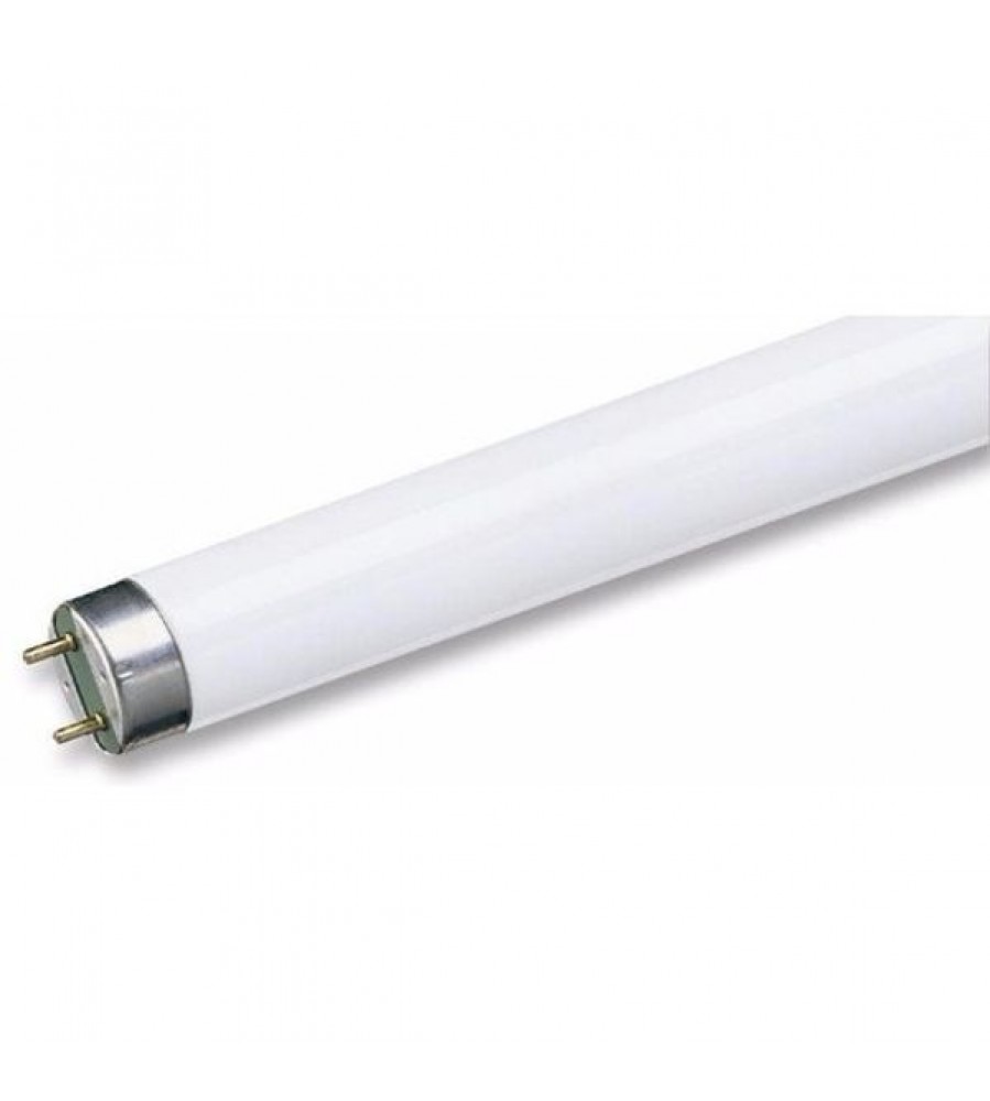 Liuminescencinis vamzdelis 36W/855 120cm T8