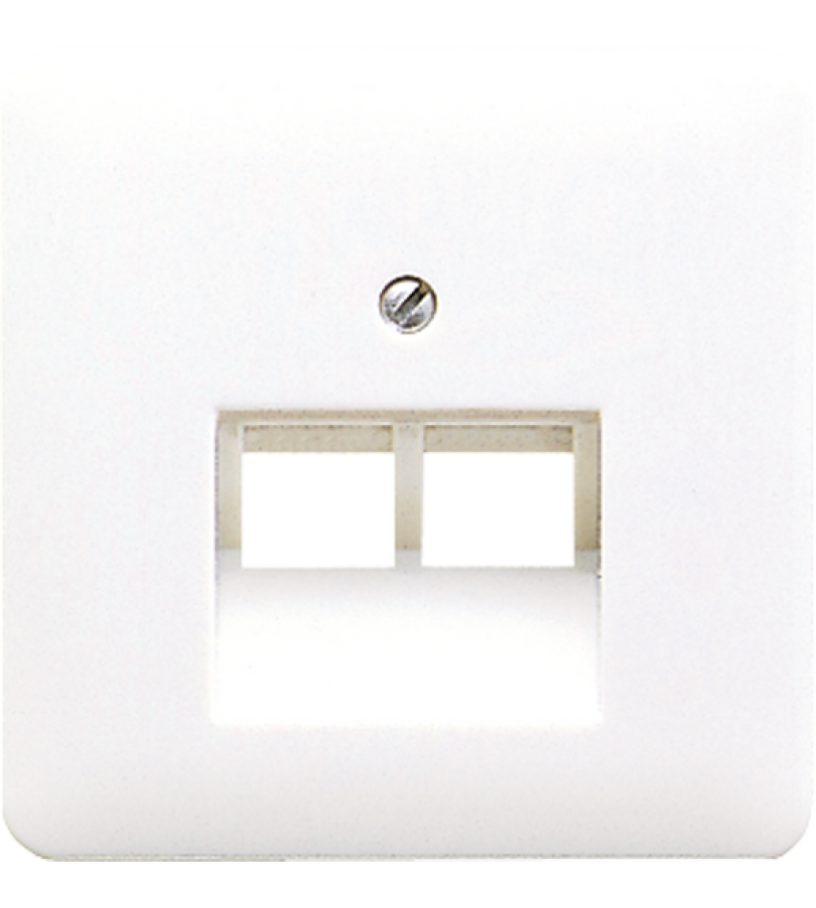 Centrinis pl.f.2 modulinis lizdas CD569-2UAWW