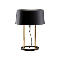 STALINĖS ŠVIESOS SHINE LEDS-C4 PRO-27631